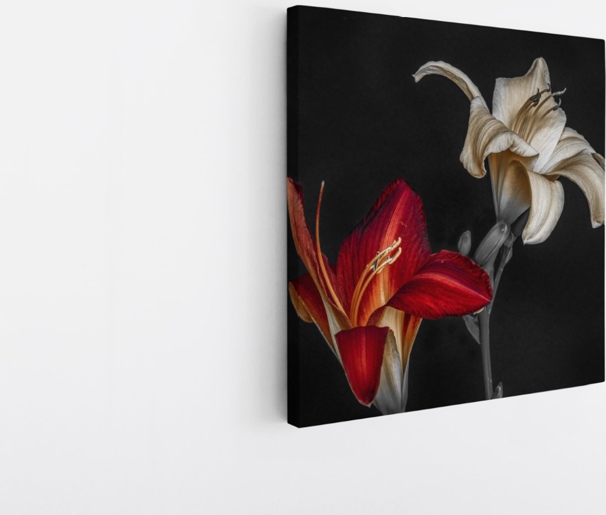 Saammp Canvas Schilderij - Bloemen - Natuur - 30x30 - Foto op canvas - Wanddecoratie - Muurdecoratie Woonkamer - Kantoor Decoratie Multicolor
