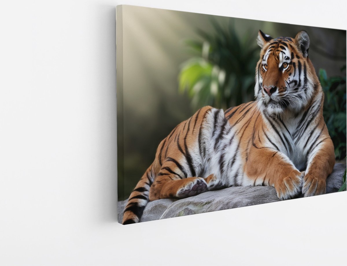 Saammp Canvas Schilderij - Tijger op Steen - Natuur - Dieren - 40x30 - Foto op canvas - Wanddecoratie - muurdecoratie Woonkamer - Slaapkamer decoratie - Canvas Print Multicolor