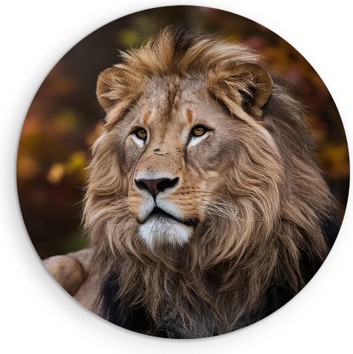 Saammp Muurcirkel Hout - Leeuw tussen de herfst bladeren - Dieren - Natuur - Ø 90 - Wandcirkel - Wanddecoratie Cirkel - Muurdecoratie Woonkamer - Slaapkamer decoratie - Rond Schilderij