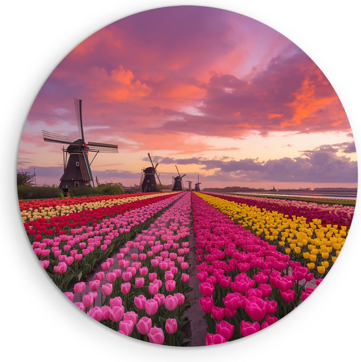 Saammp Muurcirkel Hout - Nederland - Bloemen - Tulpen - Molen - Landschap - Natuur - Ø 80 - Wandcirkel - Wanddecoratie Cirkel - Muurdecoratie Woonkamer - Slaapkamer decoratie - Rond Schilderij