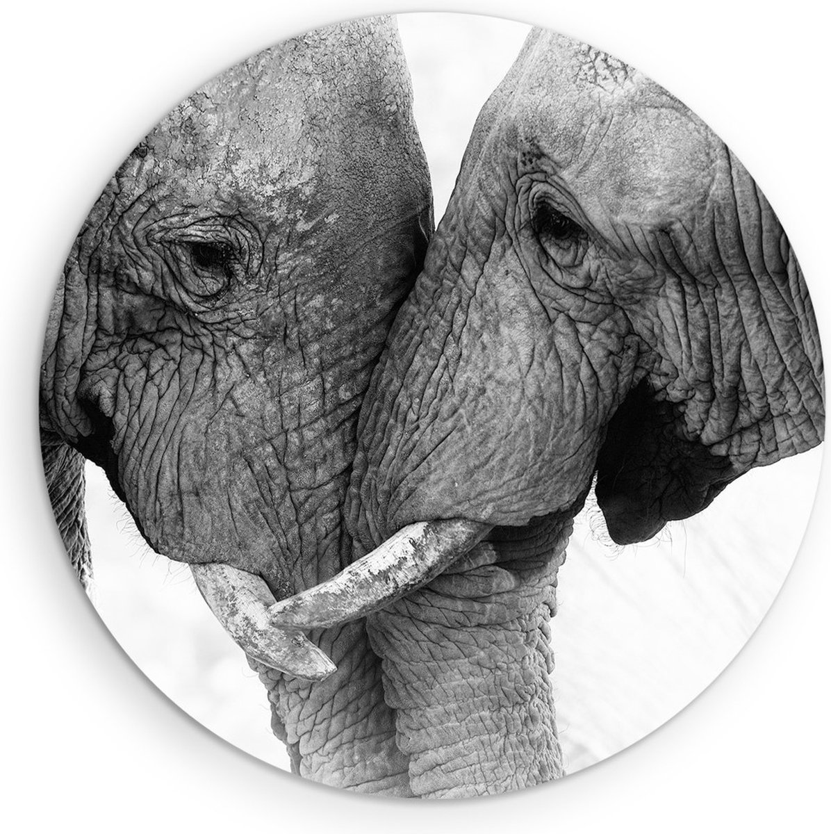 Saammp Muurcirkel Hout - 2 Olifanten - Liefdevol - Natuur - Dieren - Ø 40 - Wandcirkel - Wanddecoratie Cirkel - Muurdecoratie Woonkamer - Slaapkamer decoratie - Rond Schilderij