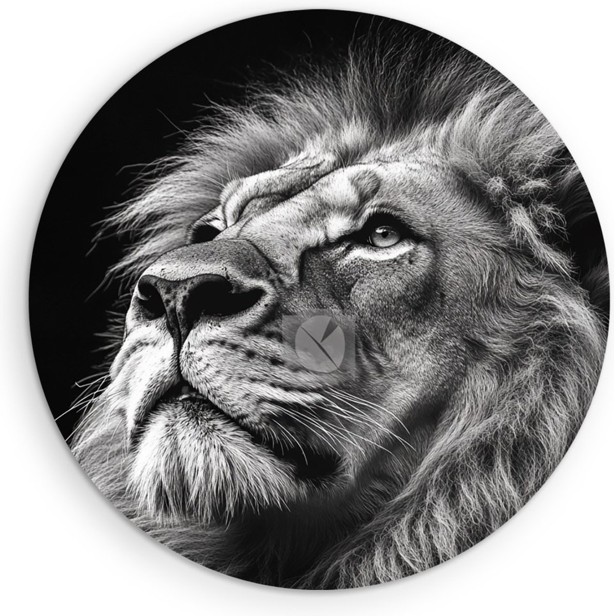 Saammp Forex Muurcirkel - Leeuwen portret - Zwart-Wit - Afrika - Dieren - Kunst - Ø 50 - Wandcirkel - Wanddecoratie Cirkel - Muurdecoratie Woonkamer - Slaapkamer decoratie - Rond Schilderij