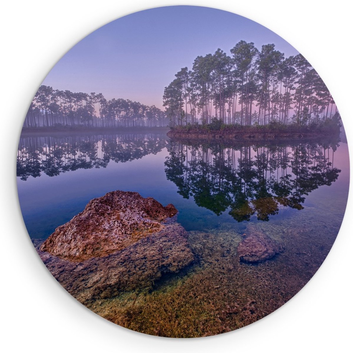 Saammp Forex Muurcirkel -Bos - Zonlicht - Zomer - Landschap - Natuur - Ø 40 - Wandcirkel - Wanddecoratie Cirkel - Muurdecoratie Woonkamer - Slaapkamer decoratie - Rond Schilderij