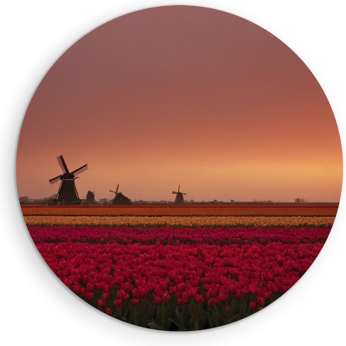 Saammp Forex Muurcirkel - Landschap - bloemenveld met een molen - Natuur - Ø 40 - Wandcirkel - Wanddecoratie Cirkel - Muurdecoratie Woonkamer - Slaapkamer decoratie - Rond Schilderij