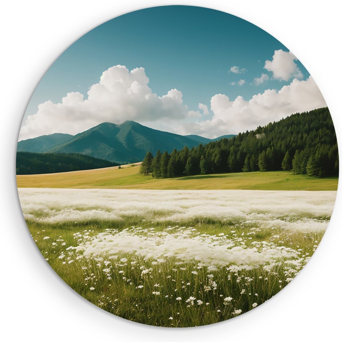 Saammp Muurcirkel Hout - Landschap - Witte bloemenveld met naaldbomen - Natuur - Ø 50 - Wandcirkel - Wanddecoratie Cirkel - Muurdecoratie Woonkamer - Slaapkamer decoratie - Rond Schilderij