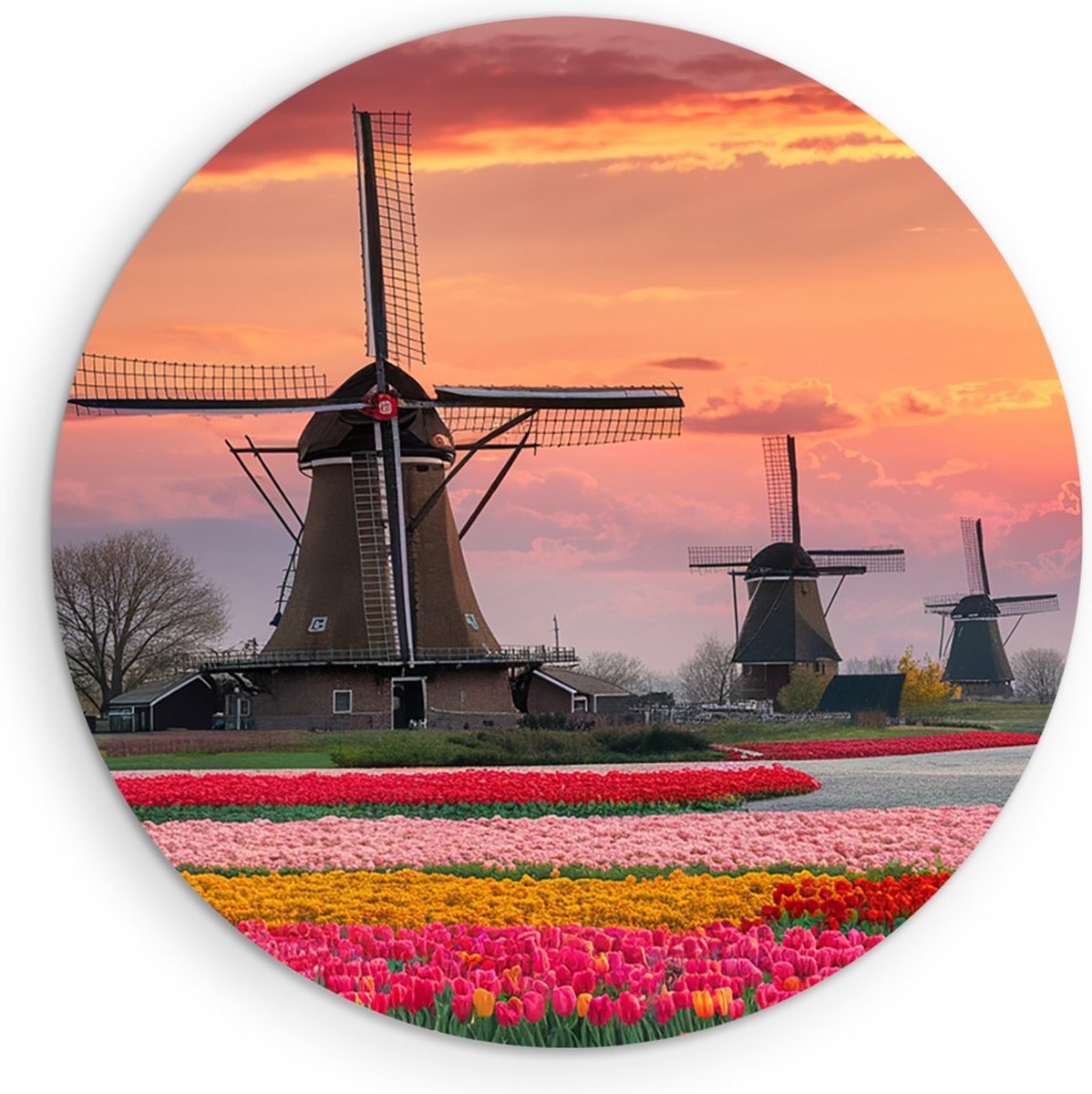 Saammp Muurcirkel Hout - Molens met Tulpenvelden - Natuur - Ø 40 - Wandcirkel - Wanddecoratie Cirkel - Muurdecoratie Woonkamer - Slaapkamer decoratie - Rond Schilderij