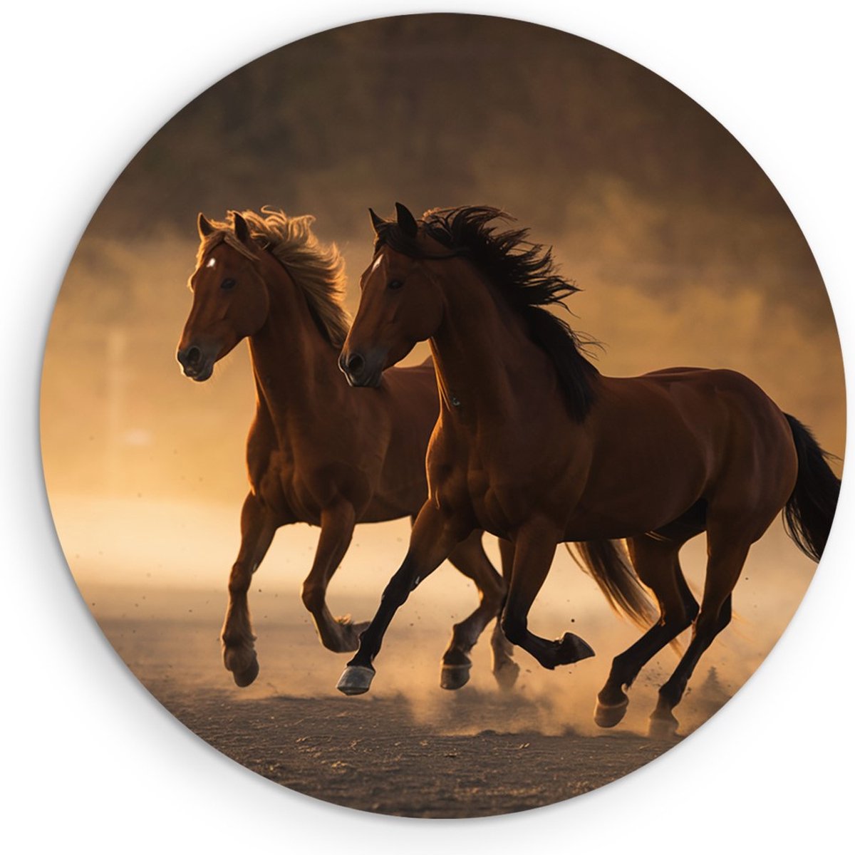 Saammp Muurcirkel Hout - 2 Paarden in de Natuur - Dieren - Ø 70 - Wandcirkel - Wanddecoratie Cirkel - muurdecoratie Woonkamer - Slaapkamer decoratie - Rond Schilderij