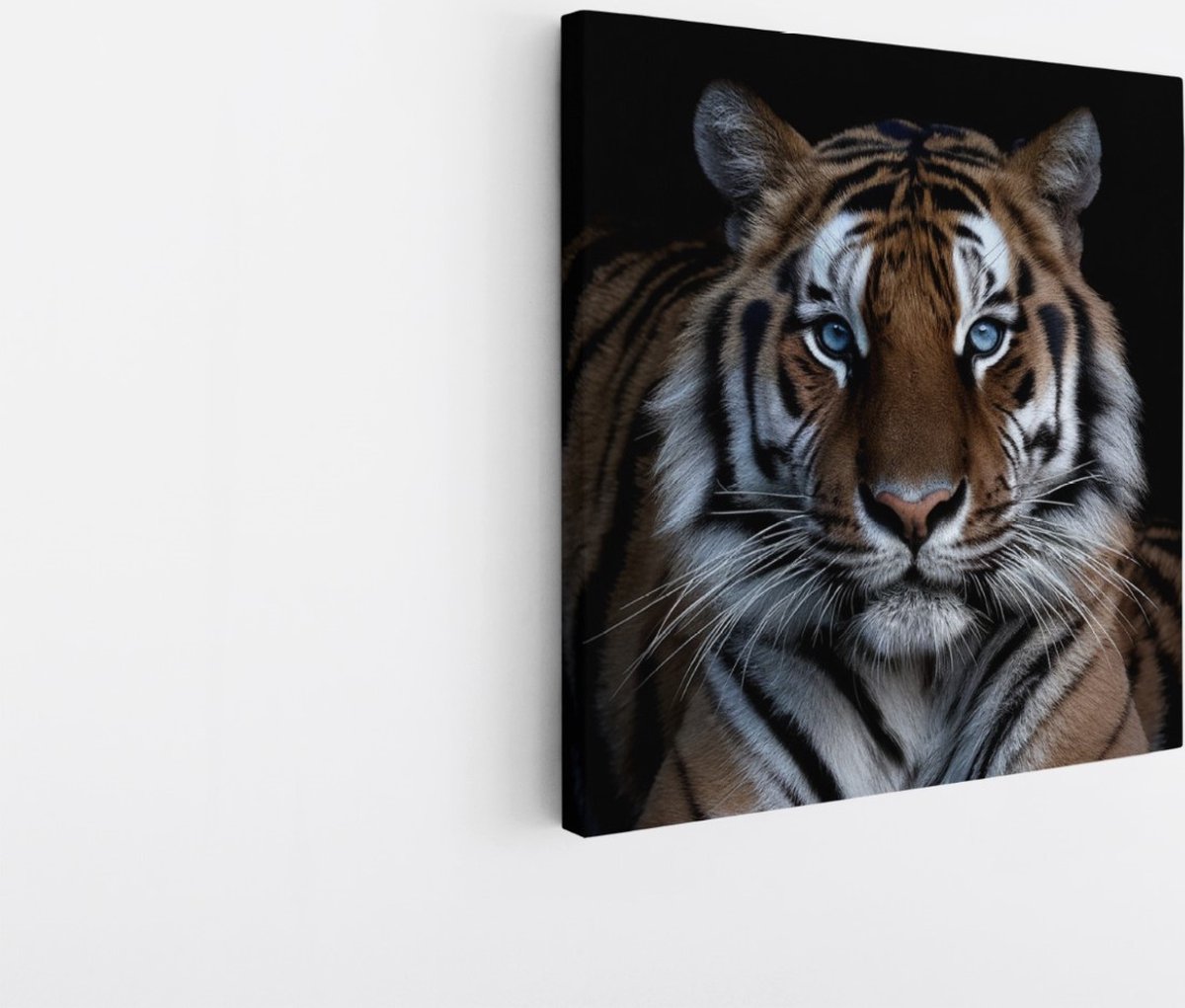 Saammp Canvas Schilderij - Tijger Met Blauwe Ogen - Natuur - Dieren - 60x60 - Foto op canvas - Wanddecoratie - muurdecoratie Woonkamer - Slaapkamer decoratie - Canvas Print Multicolor
