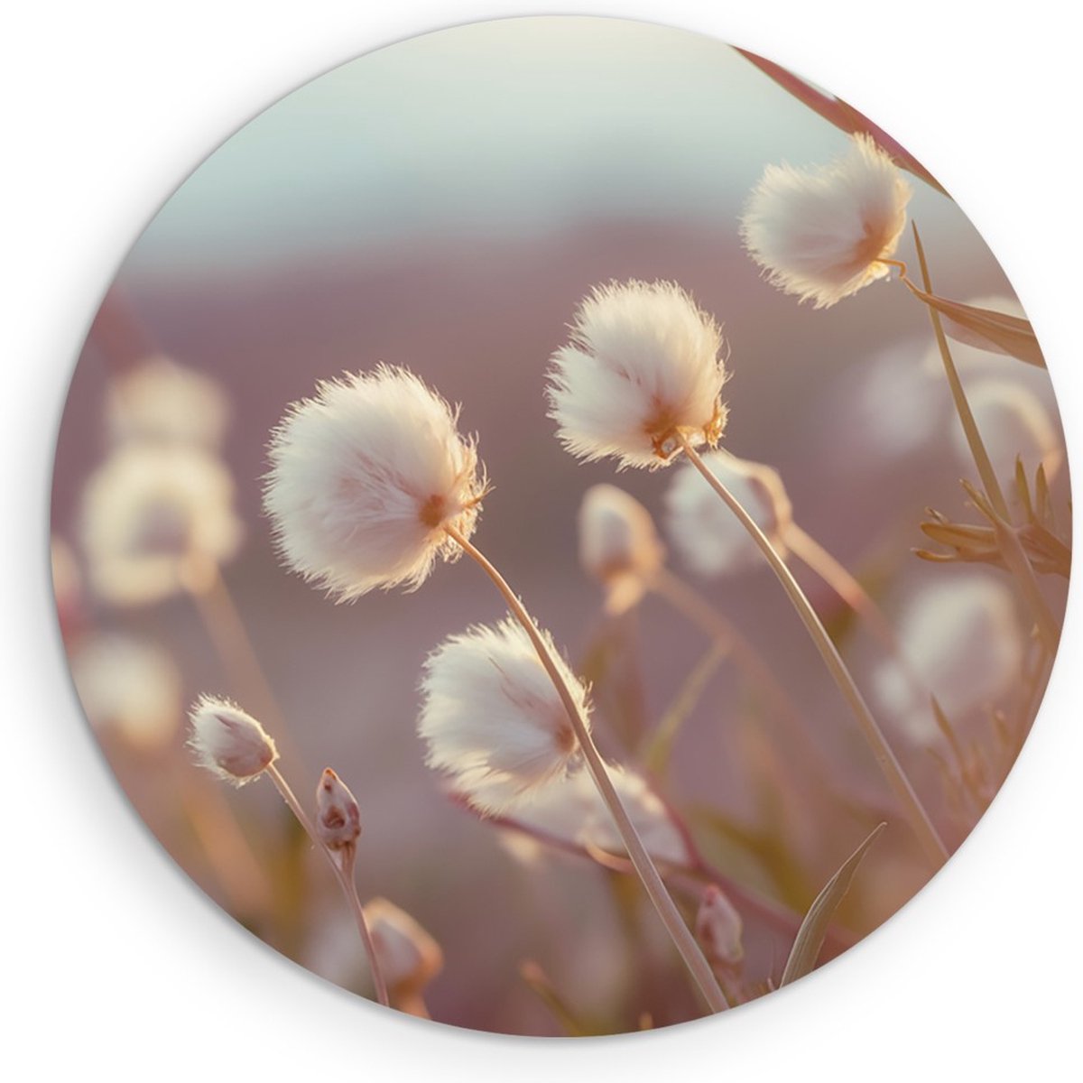 Saammp Forex Muurcirkel - Fluffy - Bloemen - Natuur - Ø 30 - Wandcirkel - Wanddecoratie Cirkel - Muurdecoratie Woonkamer - Kantoor Decoratie