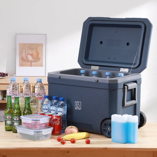 Blauwe koelbox met open deksel, gevuld met flessen water, bier, Coca-Cola en fruit.