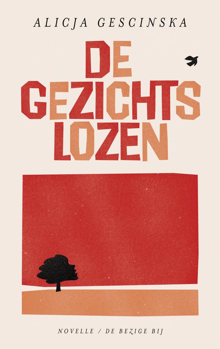 Omslag van De gezichtslozen