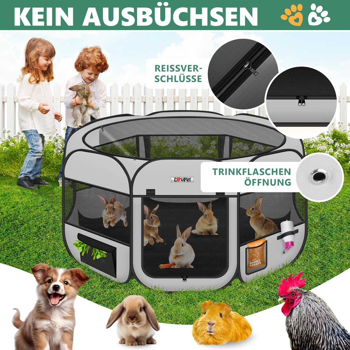 Puppyren