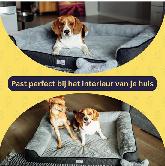 Panier pour chien ApexArte® Human - Grijs