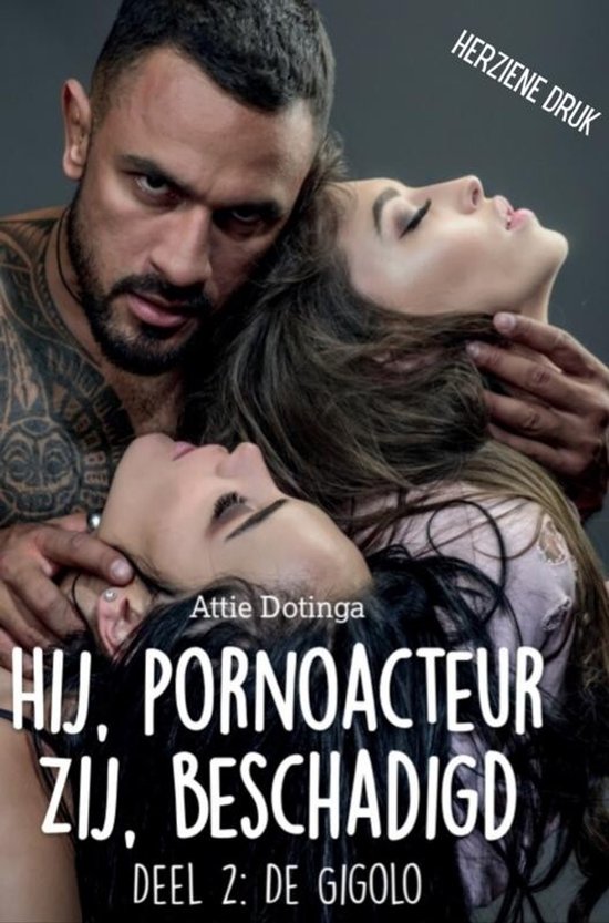 Hij pornoacteur. Zij beschadigd. - cover