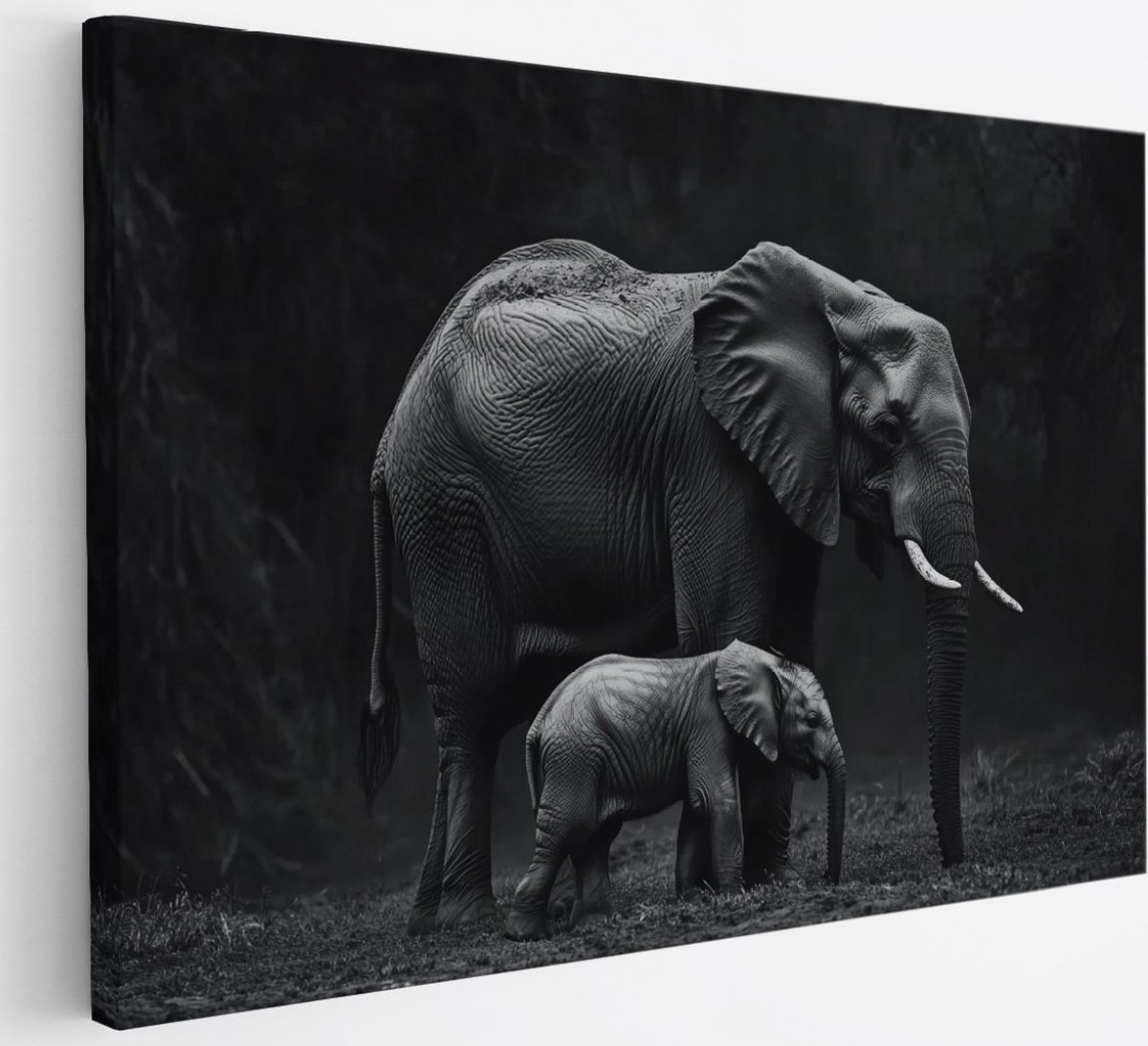 Saammp Canvas Schilderij - Olifanten Familie in thailand - Zwart-Wit - Dieren - 50x40 - Foto op canvas - Wanddecoratie - muurdecoratie Woonkamer - Slaapkamer decoratie - Canvas Print Multicolor