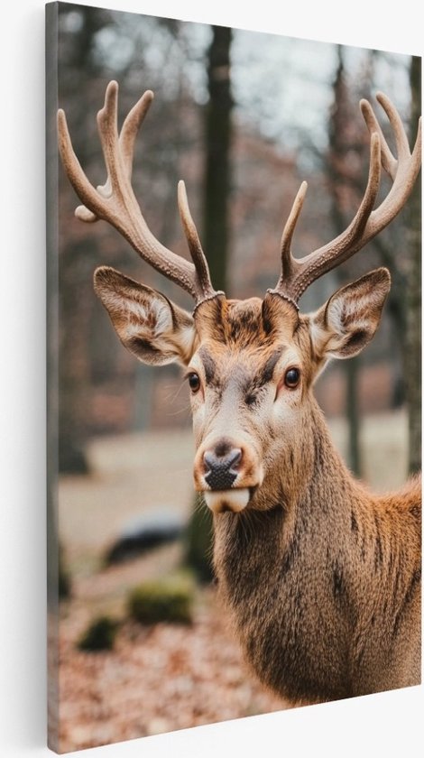Saammp - Canvas Schilderij - Hert in het bos - Dieren - Natuur - 60x90 - Foto op canvas - Wanddecoratie - Muurdecoratie Woonkamer - Slaapkamer decoratie - Canvas Print