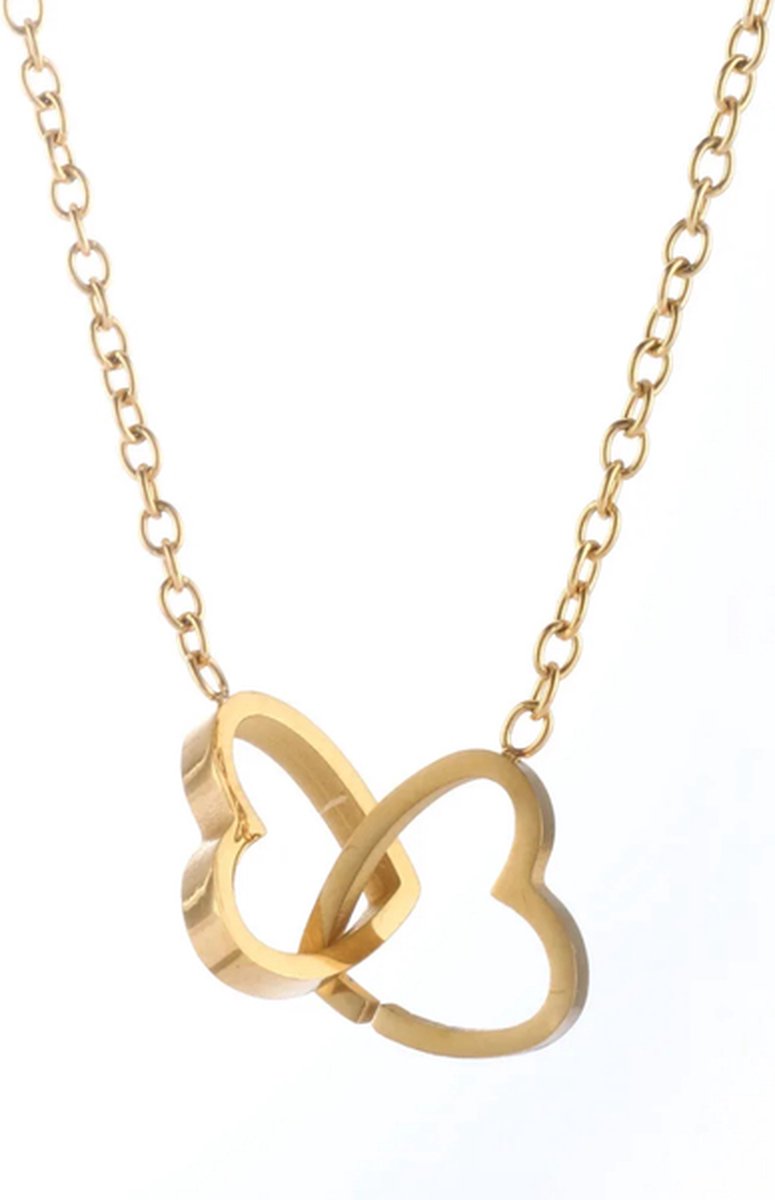 Ketting met hartje - Stainless Steel Goudkleurig - Waterproof - Glansvast - The Jewellery Salon - Tijdloos & Elegant infinity verbonden