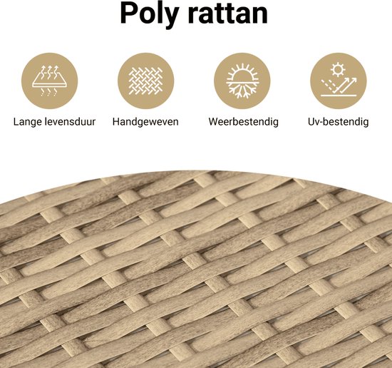 vidaXL-12-delige-Loungeset-met-kussens-poly-rattan-beige
