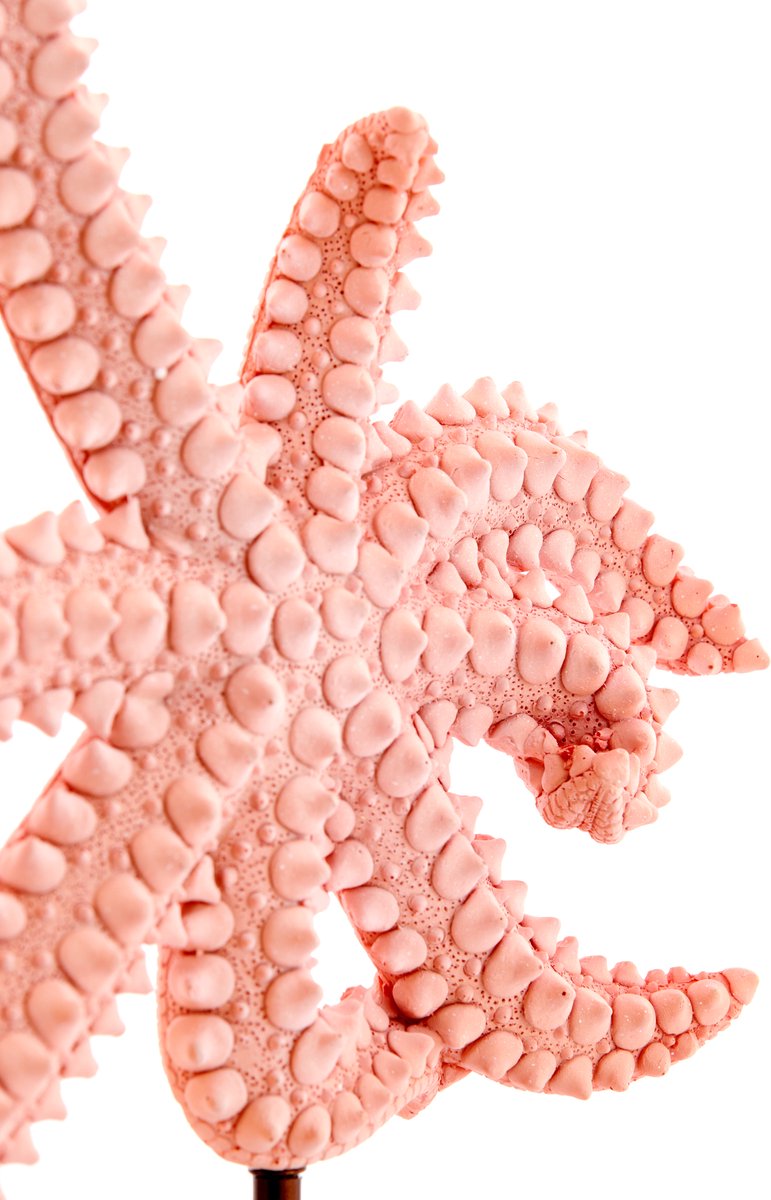 Ornament STARFISH - 28x8x36cm - Roze