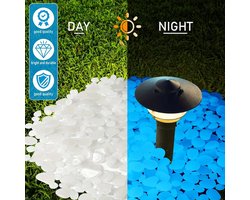 Glow In The Dark Stenen | Decoratie Stenen | Aquarium Steentjes | Tuin Stenen | 40 Stuks | Blauw