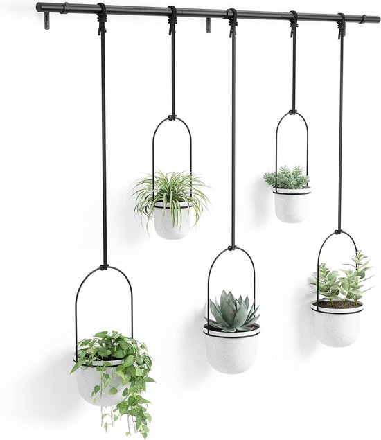 Jardinières suspendues - Pour plantes grasses et herbes aromatiques - Set de 5 - Wit