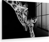 Glasschilderij - Foto op glas - Acrylglas - Wilde dieren - Giraffe - Familie - Zwart wit - 120x80 cm - Glasschilderij giraffe - Wanddecoratie glas - Decoratie woonkamer - Glasschilderij dieren