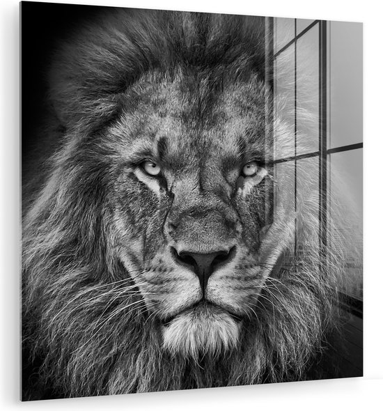Peinture sur verre - Photo sur verre - Verre acrylique - Animaux sauvages - Lion - Zwart - Wit - 50x50 cm - Peinture sur verre lion - Peinture sur verre - Décoration chambre - Chambre