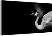 Aluminium schilderij 160x80 cm - Wanddecoratie metaal - Kraanvogel - Zwart - Wit - Vogel - Dieren - Metalen muurdecoratie woonkamer - Decoratie industrieel - Foto op dibond - Industriële accessoires slaapkamer