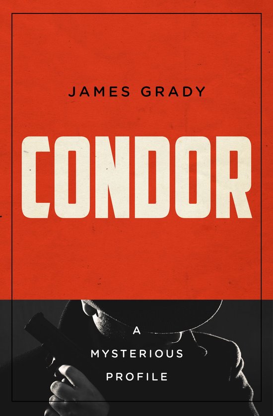 Mysterious Profiles - Condor - cover