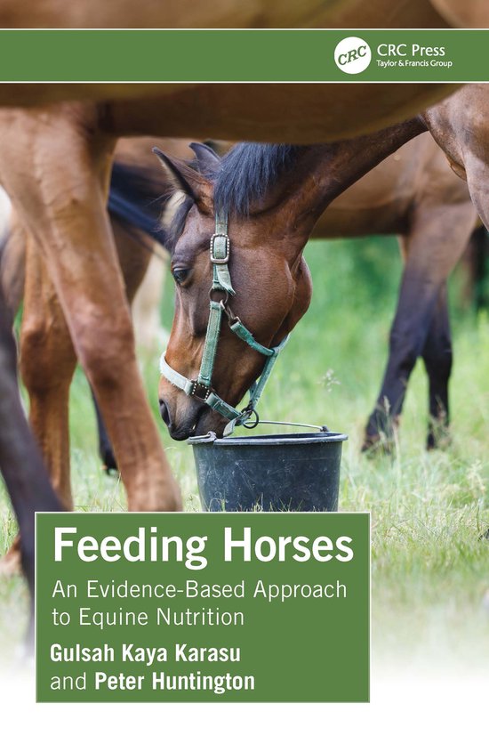 Feeding Horses - cover