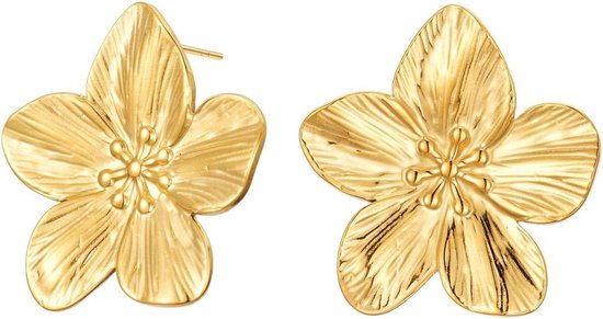 Kleurige haarklemmetjes voor dames | -NL