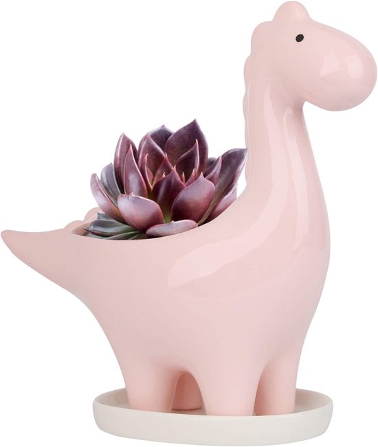 Pot de fleurs Dinosaurus en céramique pour cactus et plantes grasses – Design Uniek pour la maison et le Jardin