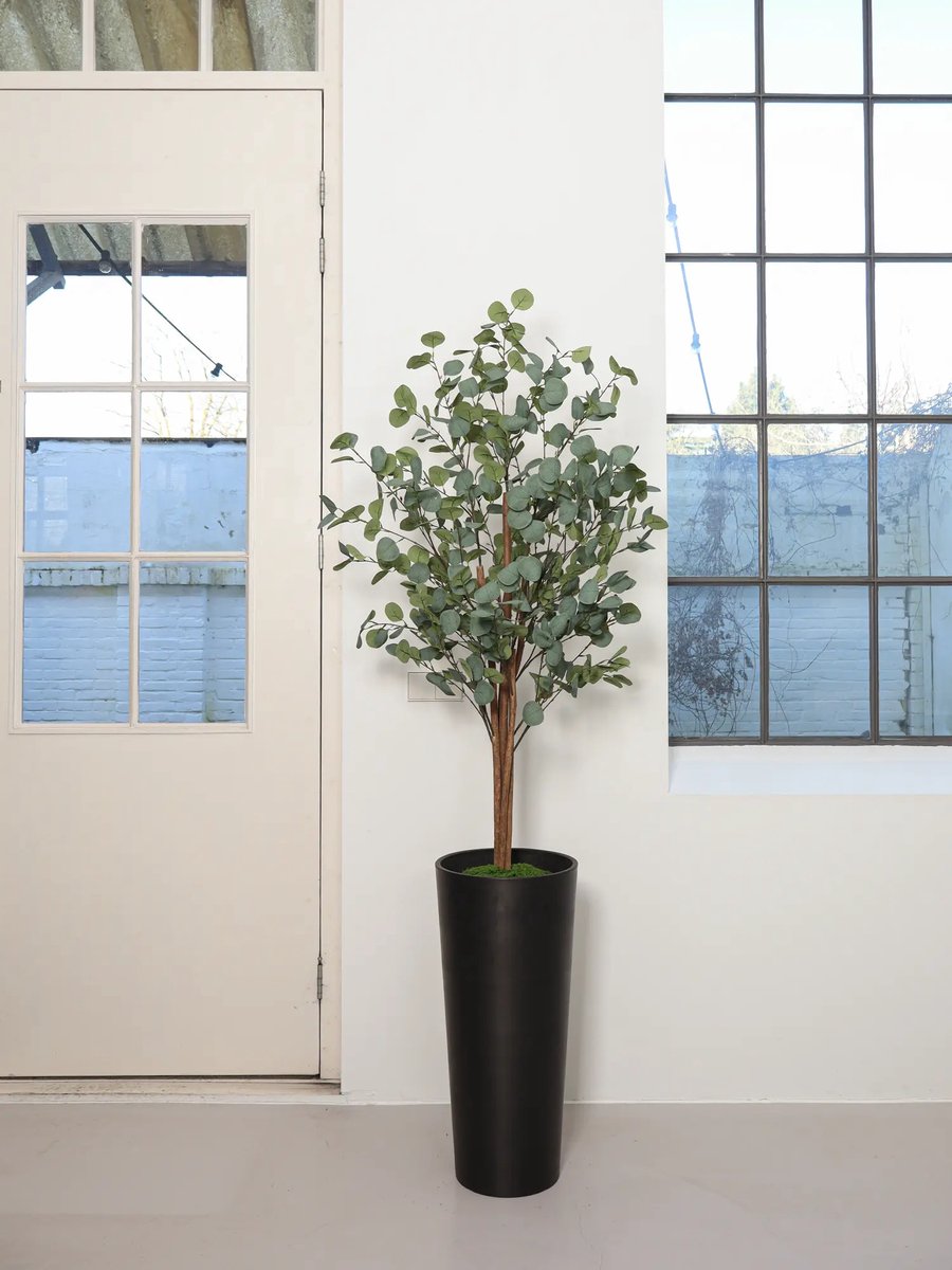 Kunst eucalyptus eucalyptus takken kunstplanten 38cm 3st