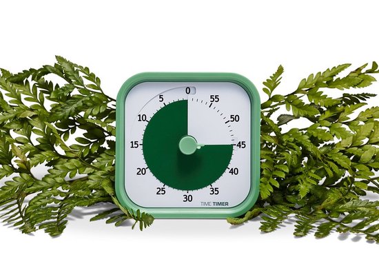 Time Timer® MOD HOME EDITION - kleur Fern Green - 60 Minuten visuele ...