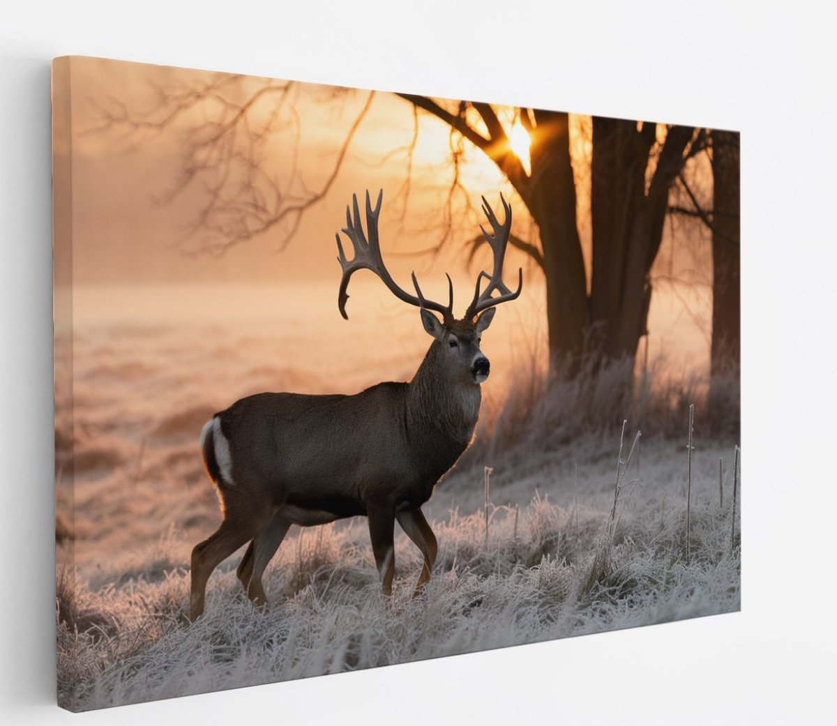 Saammp Canvas Schilderij - hert met zonsopgang in bevroren gras - Natuur - Dieren - 70x50 - Foto op canvas - Wanddecoratie - Muurdecoratie Woonkamer - Slaapkamer decoratie - Canvas Print Multicolor