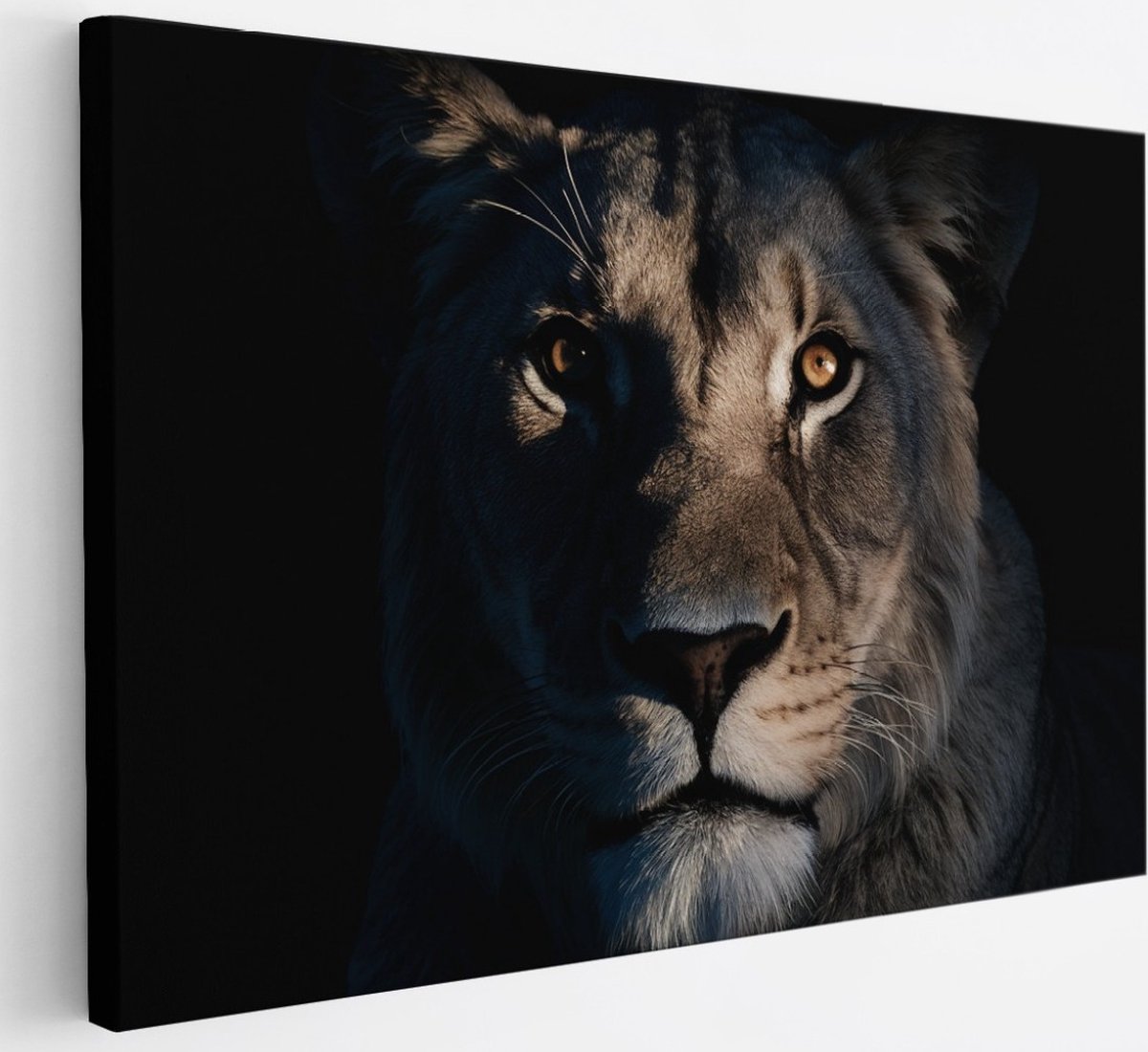 Saammp Canvas Schilderij - Leeuwen Portret - Lichtval - Dieren - Natuur - 30x20 - Foto op canvas - Wanddecoratie - Muurdecoratie Woonkamer - Slaapkamer decoratie - Canvas Print Multicolor