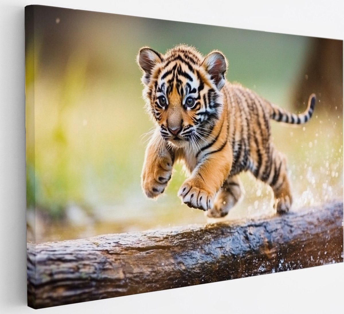 Saammp Canvas Schilderij - Tijger welp op boom - Natuur - Dieren - 30x20 - Foto op canvas - Wanddecoratie - muurdecoratie Woonkamer - Slaapkamer decoratie - Canvas Print Multicolor