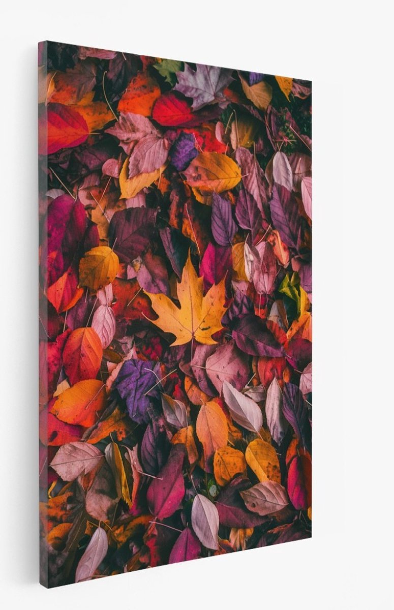 Saammp Canvas Schilderij - Bloemen - Gekleurde Bladeren - 60x90 - Foto op canvas - Wanddecoratie - Muurdecoratie Woonkamer - Kantoor Decoratie Multicolor