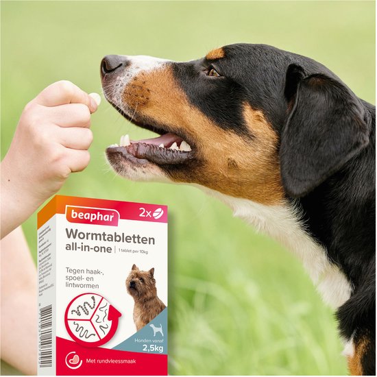 Appenzeller Sennenhond krijgt een Beaphar wormtablet van een hand.