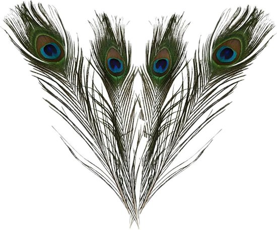 10 decoratieve pauwenveren