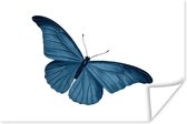 Poster Vlinder - Dieren - Blauw - 180x120 cm XXL