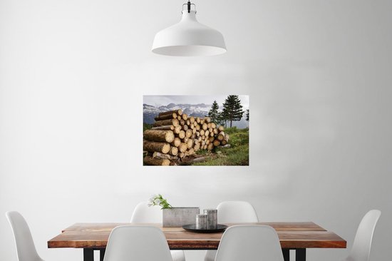 Plusieurs troncs d'arbres s'entassent dans un poster paysage de montagne enneigé 90x60 cm - Tirage photo sur Poster (décoration murale salon / chambre) / Poster Plantes