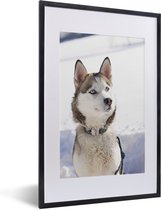 Fotolijst incl. Poster - Siberische husky in de sneeuw - 40x60 cm - Posterlijst