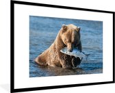 Photo encadrée - Ours brun avec un cadre photo poisson noir avec passe-partout blanc 60x90 90x60 cm - Affiche encadrée (Décoration murale salon / chambre)
