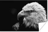 Gros plan d'un aigle sur fond noir - Poster papier noir et blanc 60x40 cm - Tirage photo sur Poster (décoration murale salon / chambre) / Poster Animaux sauvages