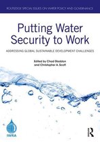 Routledge Special Issues on Water Policy and Governance - Putting Water Security to Work