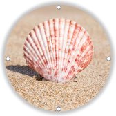 Tuincirkel Seashell