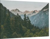 Misty Forest in the Mountains - Foto op Canvas - 45 x 30 cm