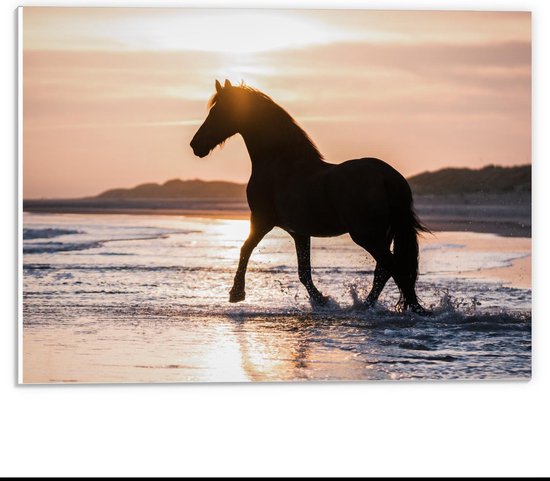 Forex - Silhouet van Paard Sjokkend over Strand - 40x30cm Foto op Forex