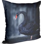 Zwarte zwaan op zwarte achtergrond - Foto op Sierkussen - 50 x 50 cm